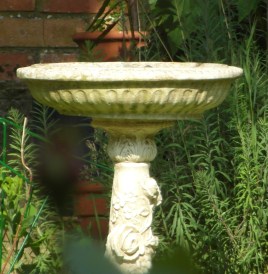 birdbathsparrow1blog