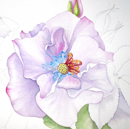 quina lilac odyssey blog