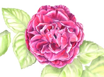 blog jamain3 firstwash