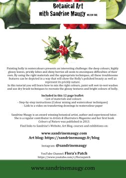 PDFC WFB01holly back page jpeg red