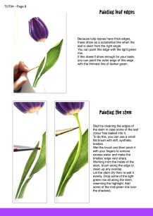 purple tulip sample page